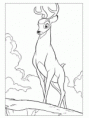 /album/fotogalerie-disney/bambi-omalovanky-k-vytisknuti-4-gif/